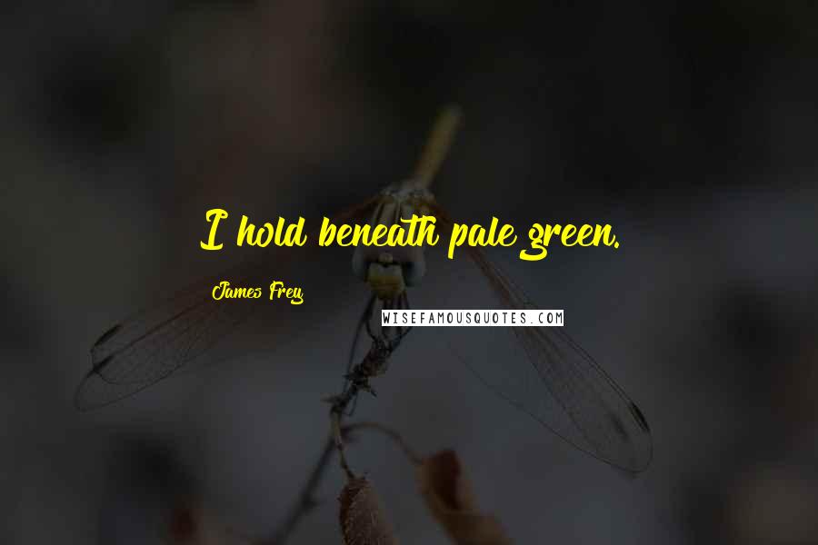 James Frey Quotes: I hold beneath pale green.