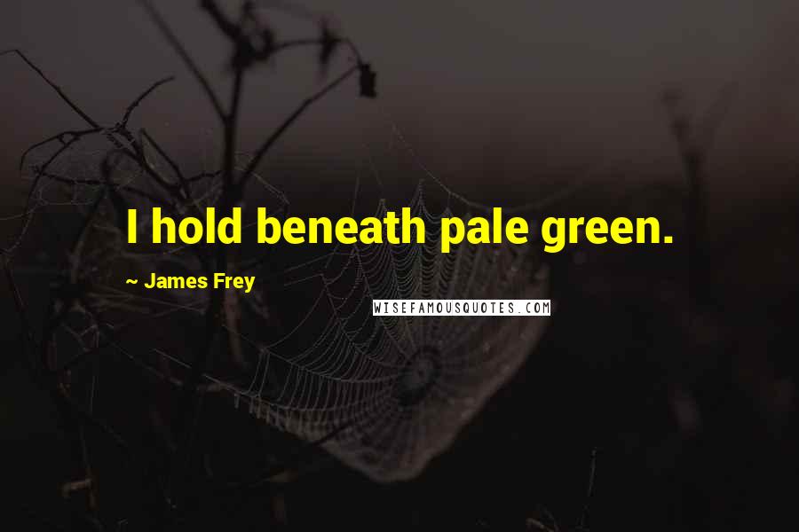 James Frey Quotes: I hold beneath pale green.