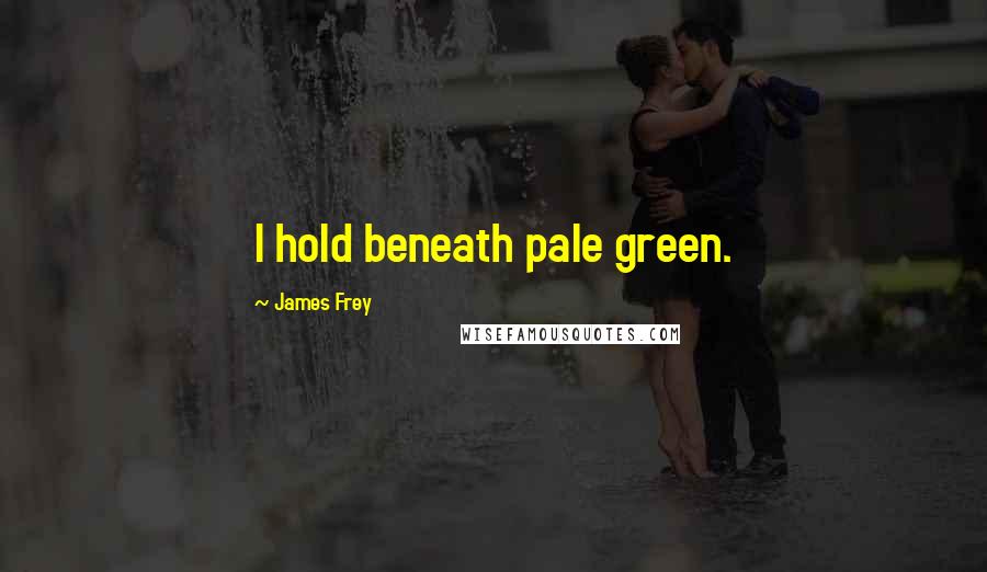 James Frey Quotes: I hold beneath pale green.