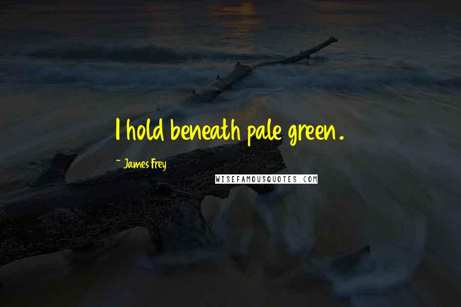James Frey Quotes: I hold beneath pale green.