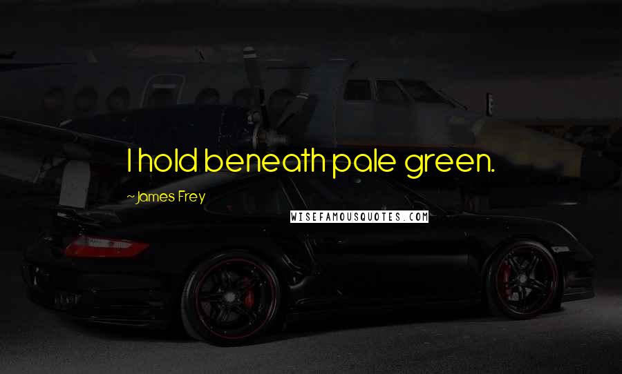 James Frey Quotes: I hold beneath pale green.