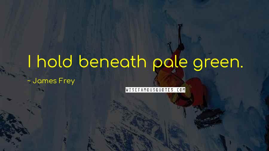 James Frey Quotes: I hold beneath pale green.