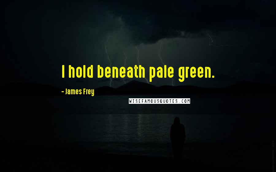 James Frey Quotes: I hold beneath pale green.