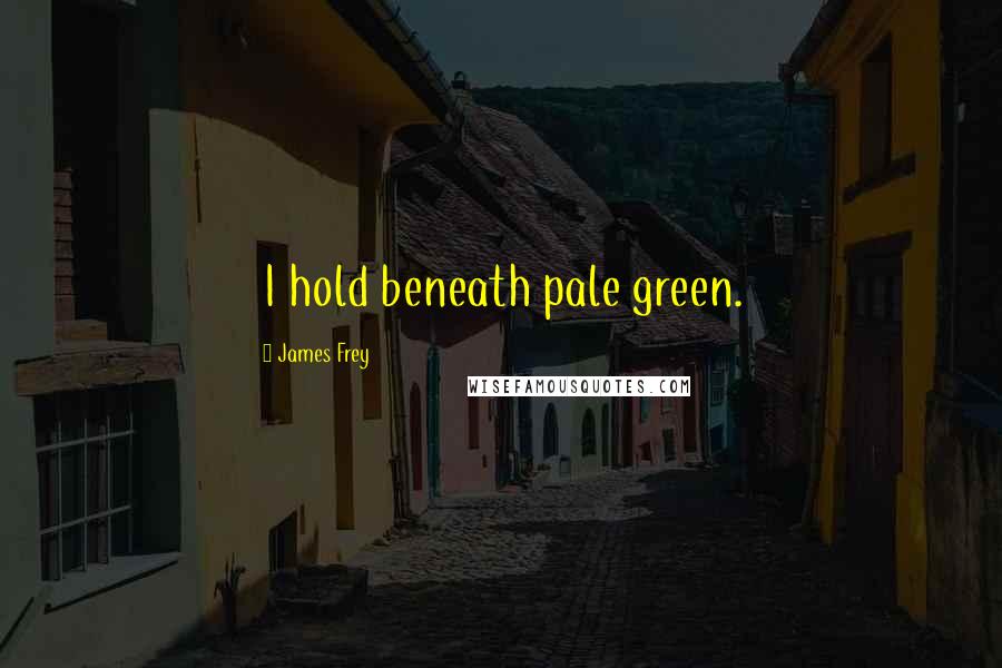 James Frey Quotes: I hold beneath pale green.