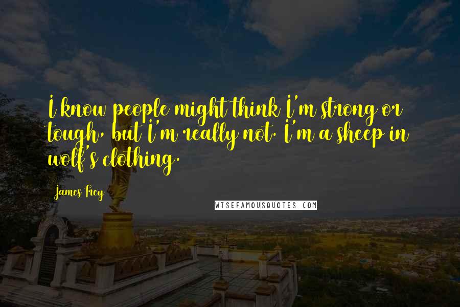 James Frey Quotes: I know people might think I'm strong or tough, but I'm really not. I'm a sheep in wolf's clothing.