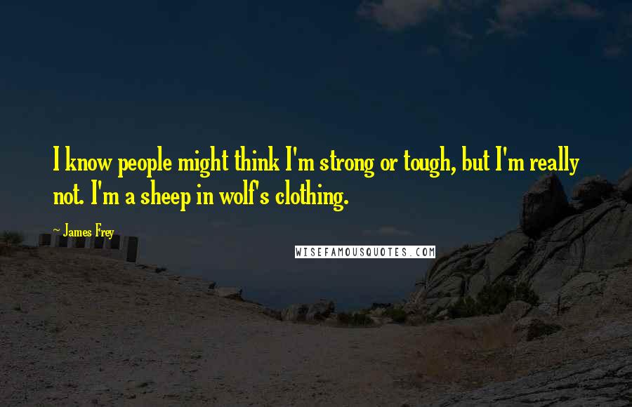 James Frey Quotes: I know people might think I'm strong or tough, but I'm really not. I'm a sheep in wolf's clothing.