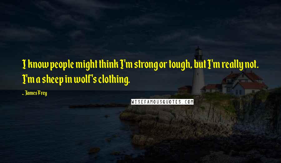 James Frey Quotes: I know people might think I'm strong or tough, but I'm really not. I'm a sheep in wolf's clothing.