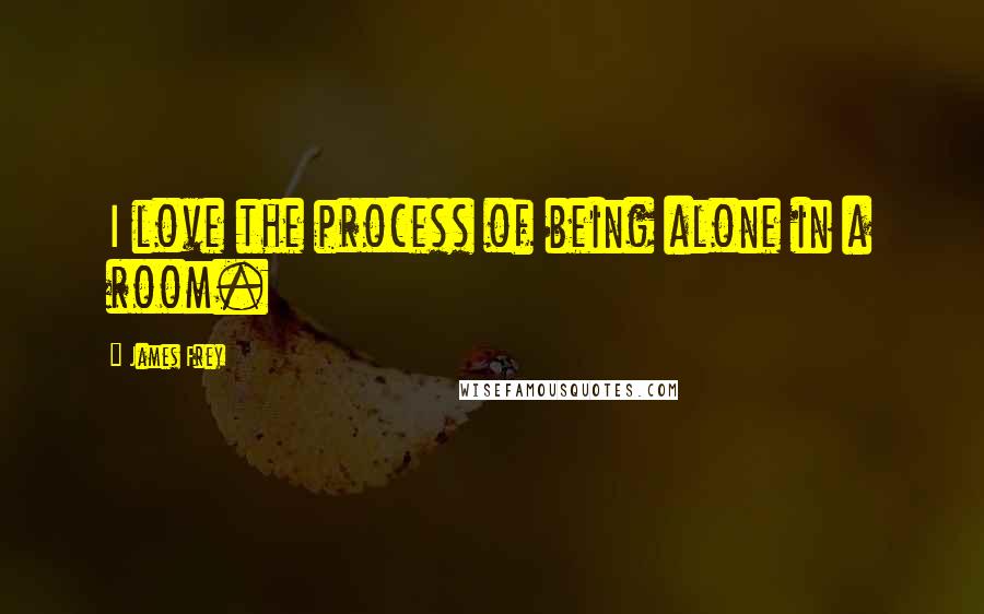 James Frey Quotes: I love the process of being alone in a room.