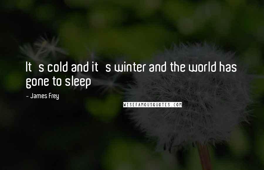 James Frey Quotes: It's cold and it's winter and the world has gone to sleep