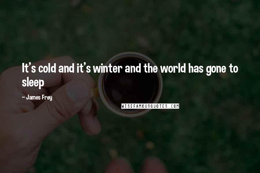 James Frey Quotes: It's cold and it's winter and the world has gone to sleep