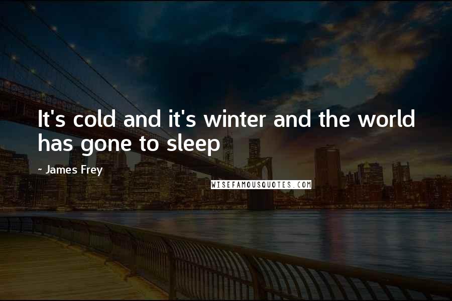 James Frey Quotes: It's cold and it's winter and the world has gone to sleep