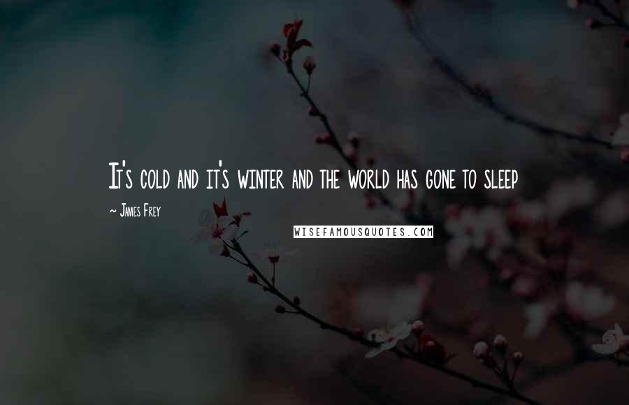 James Frey Quotes: It's cold and it's winter and the world has gone to sleep