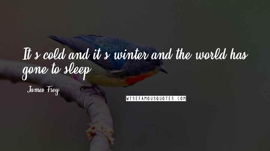 James Frey Quotes: It's cold and it's winter and the world has gone to sleep