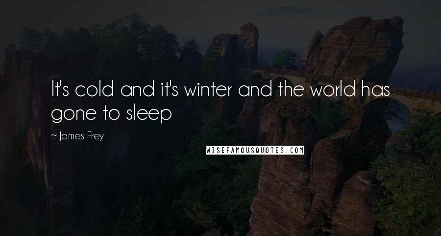 James Frey Quotes: It's cold and it's winter and the world has gone to sleep