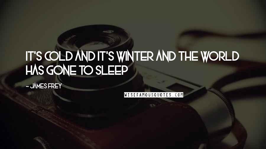 James Frey Quotes: It's cold and it's winter and the world has gone to sleep