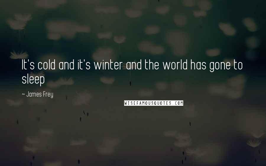 James Frey Quotes: It's cold and it's winter and the world has gone to sleep