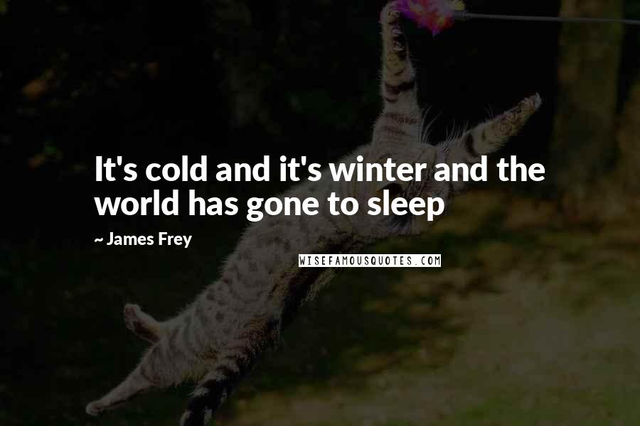 James Frey Quotes: It's cold and it's winter and the world has gone to sleep