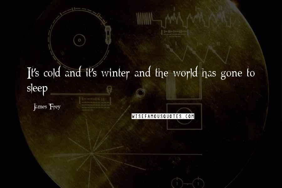 James Frey Quotes: It's cold and it's winter and the world has gone to sleep