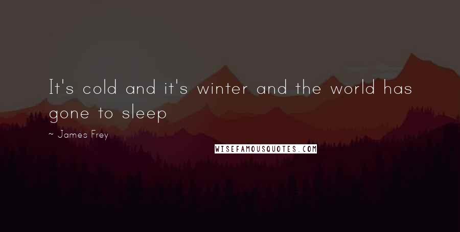 James Frey Quotes: It's cold and it's winter and the world has gone to sleep