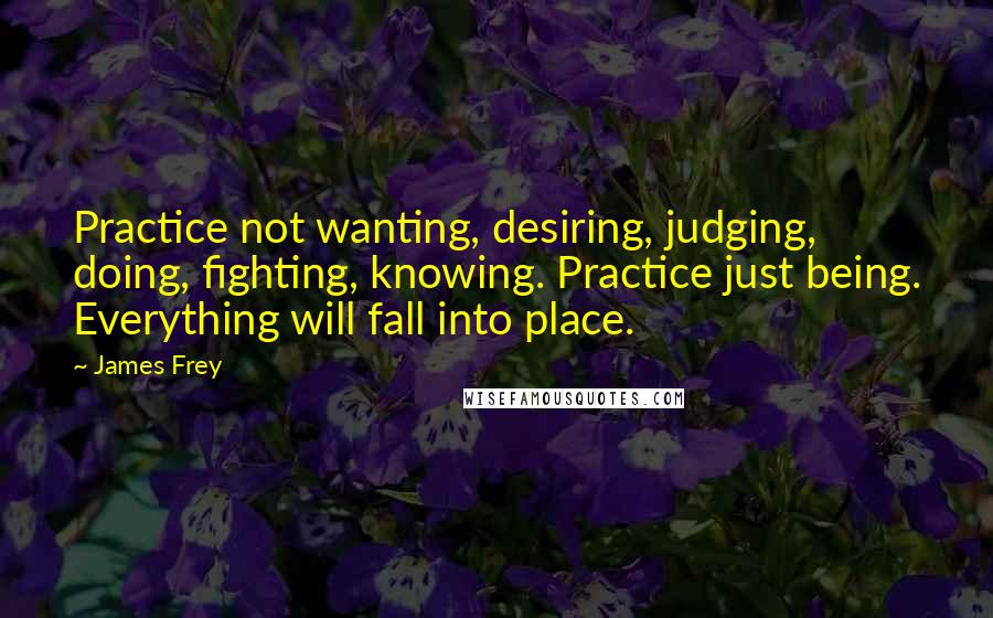 James Frey Quotes: Practice not wanting, desiring, judging, doing, fighting, knowing. Practice just being. Everything will fall into place.