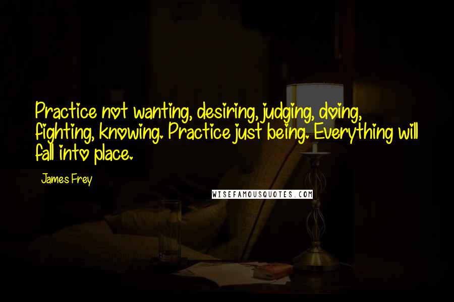 James Frey Quotes: Practice not wanting, desiring, judging, doing, fighting, knowing. Practice just being. Everything will fall into place.