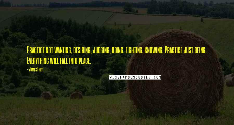 James Frey Quotes: Practice not wanting, desiring, judging, doing, fighting, knowing. Practice just being. Everything will fall into place.