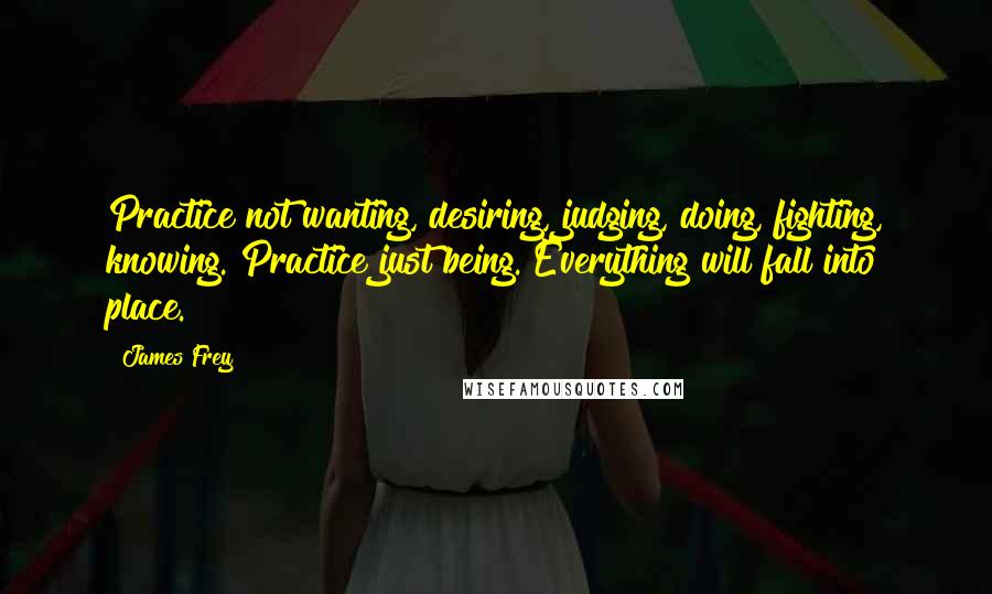 James Frey Quotes: Practice not wanting, desiring, judging, doing, fighting, knowing. Practice just being. Everything will fall into place.