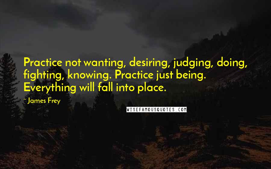 James Frey Quotes: Practice not wanting, desiring, judging, doing, fighting, knowing. Practice just being. Everything will fall into place.