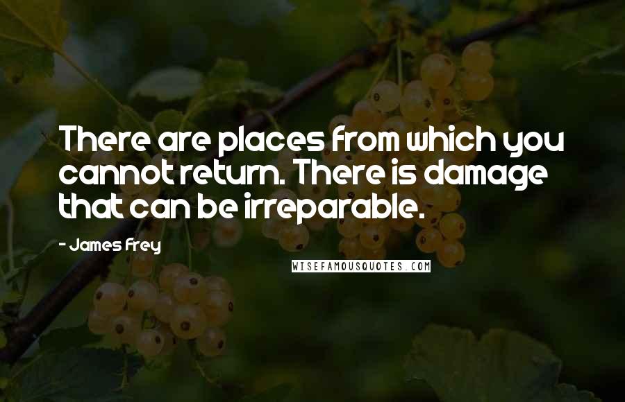 James Frey Quotes: There are places from which you cannot return. There is damage that can be irreparable.