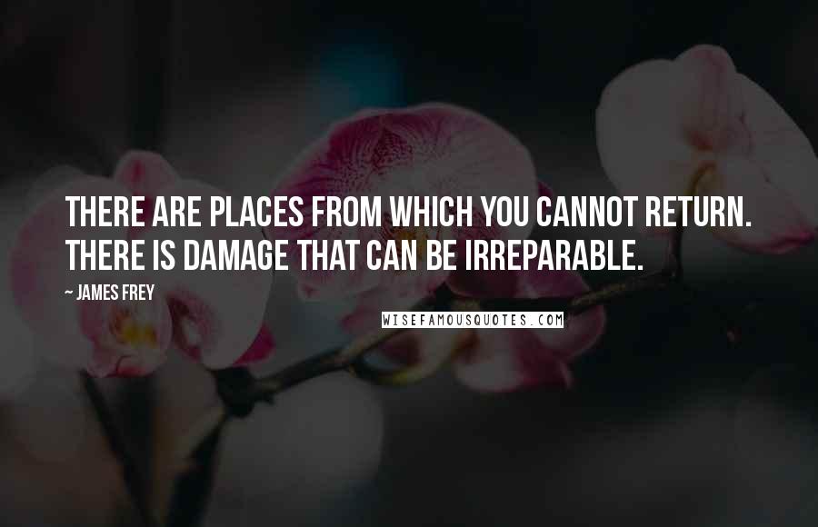 James Frey Quotes: There are places from which you cannot return. There is damage that can be irreparable.