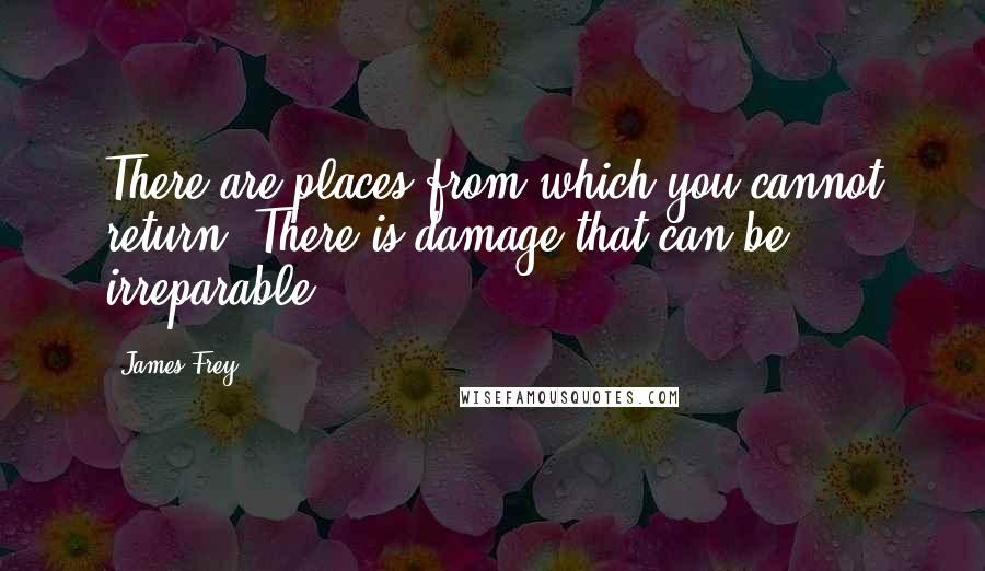 James Frey Quotes: There are places from which you cannot return. There is damage that can be irreparable.