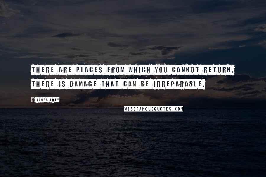 James Frey Quotes: There are places from which you cannot return. There is damage that can be irreparable.