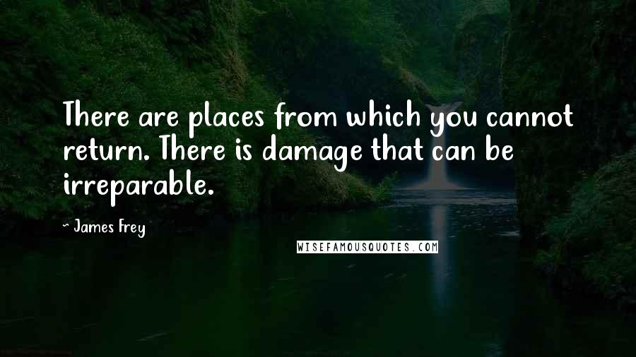 James Frey Quotes: There are places from which you cannot return. There is damage that can be irreparable.