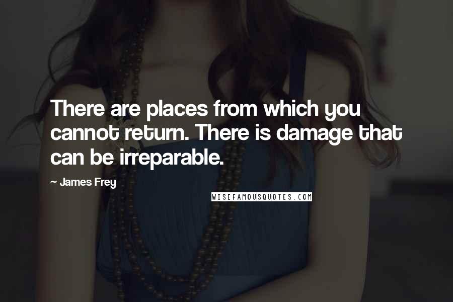 James Frey Quotes: There are places from which you cannot return. There is damage that can be irreparable.