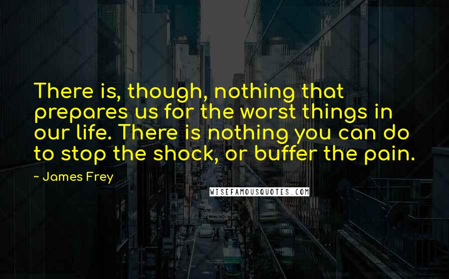 James Frey Quotes: There is, though, nothing that prepares us for the worst things in our life. There is nothing you can do to stop the shock, or buffer the pain.