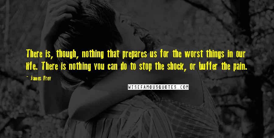 James Frey Quotes: There is, though, nothing that prepares us for the worst things in our life. There is nothing you can do to stop the shock, or buffer the pain.