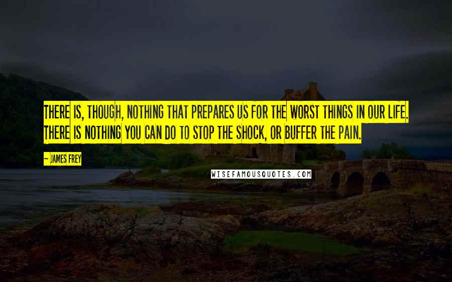 James Frey Quotes: There is, though, nothing that prepares us for the worst things in our life. There is nothing you can do to stop the shock, or buffer the pain.