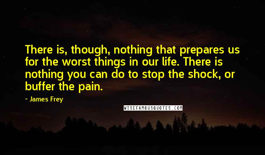 James Frey Quotes: There is, though, nothing that prepares us for the worst things in our life. There is nothing you can do to stop the shock, or buffer the pain.