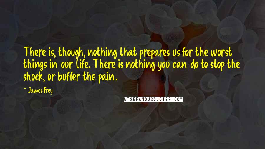 James Frey Quotes: There is, though, nothing that prepares us for the worst things in our life. There is nothing you can do to stop the shock, or buffer the pain.