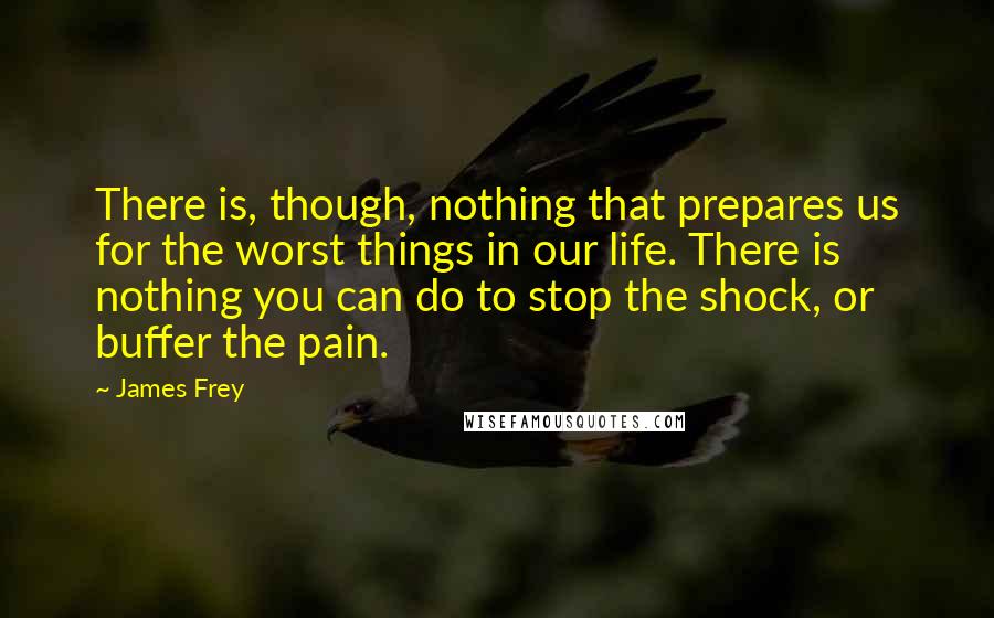 James Frey Quotes: There is, though, nothing that prepares us for the worst things in our life. There is nothing you can do to stop the shock, or buffer the pain.