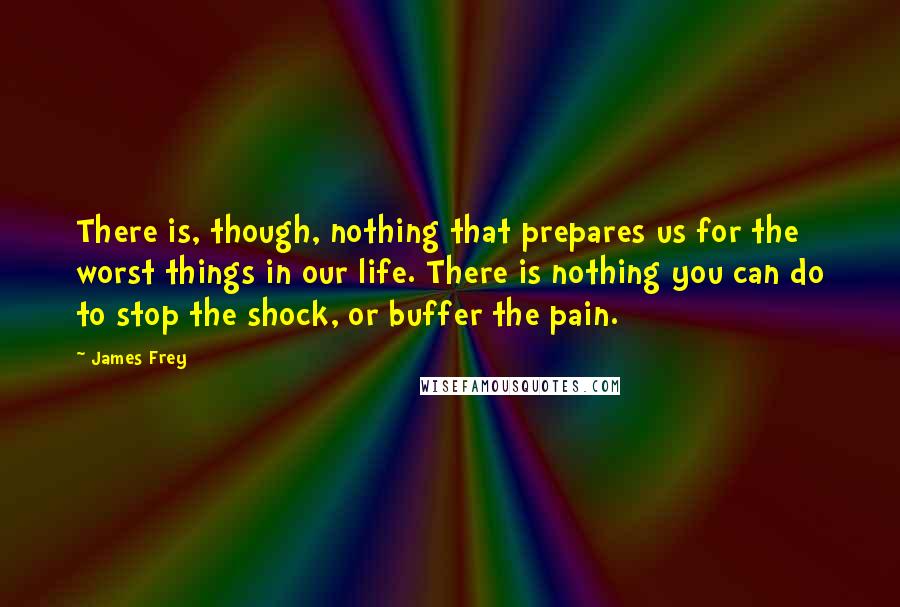 James Frey Quotes: There is, though, nothing that prepares us for the worst things in our life. There is nothing you can do to stop the shock, or buffer the pain.