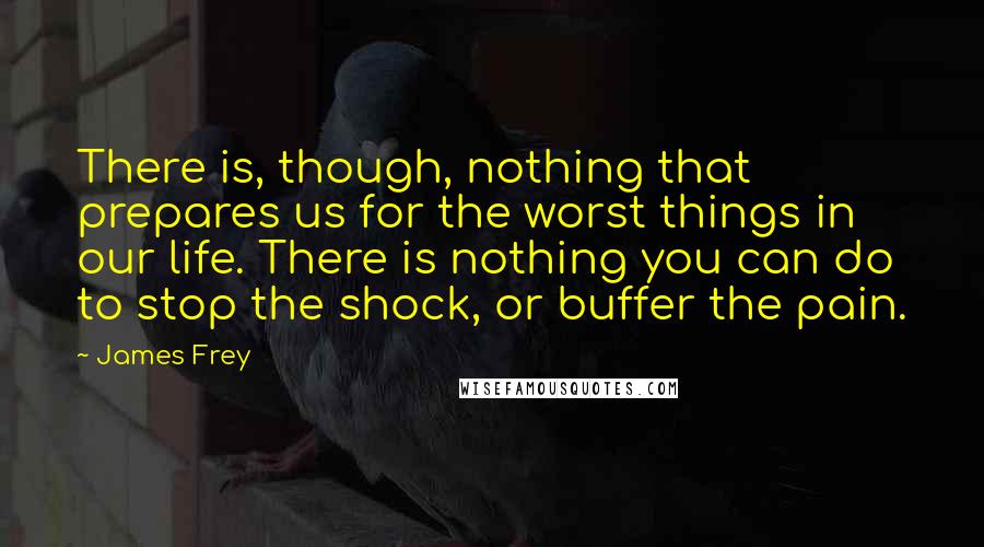 James Frey Quotes: There is, though, nothing that prepares us for the worst things in our life. There is nothing you can do to stop the shock, or buffer the pain.