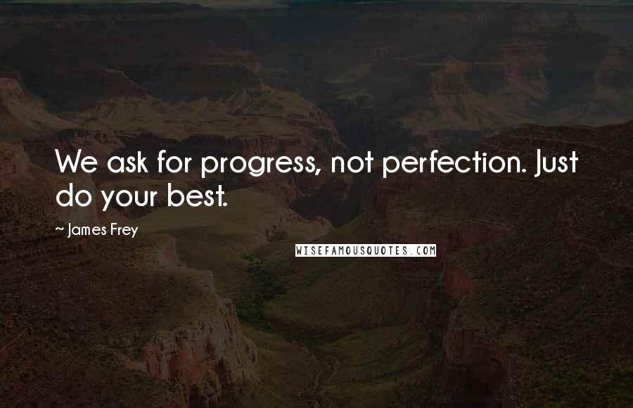 James Frey Quotes: We ask for progress, not perfection. Just do your best.