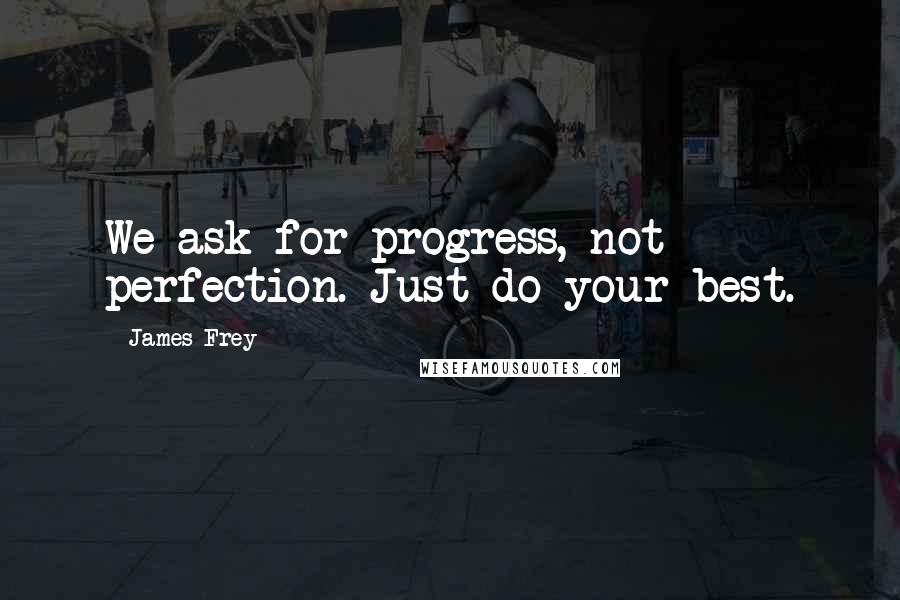 James Frey Quotes: We ask for progress, not perfection. Just do your best.