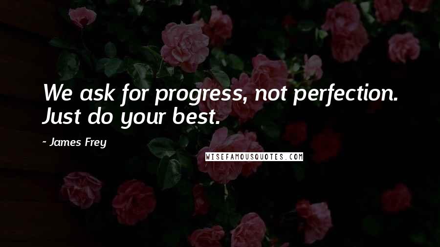 James Frey Quotes: We ask for progress, not perfection. Just do your best.