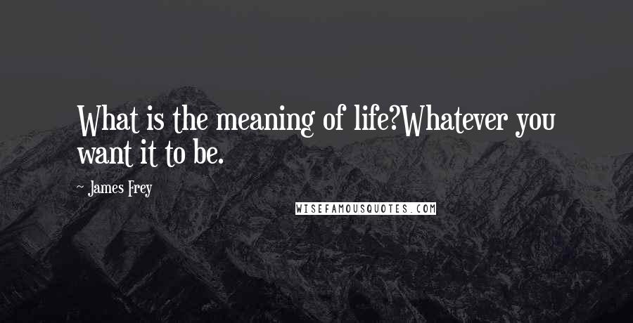 James Frey Quotes: What is the meaning of life?Whatever you want it to be.