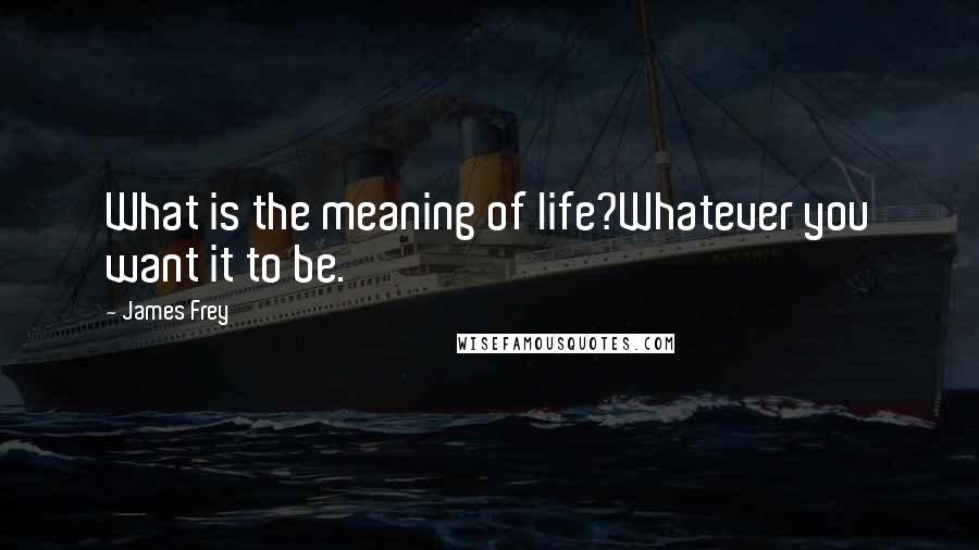 James Frey Quotes: What is the meaning of life?Whatever you want it to be.