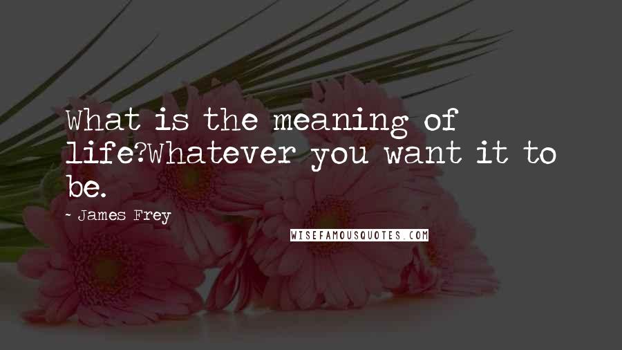 James Frey Quotes: What is the meaning of life?Whatever you want it to be.