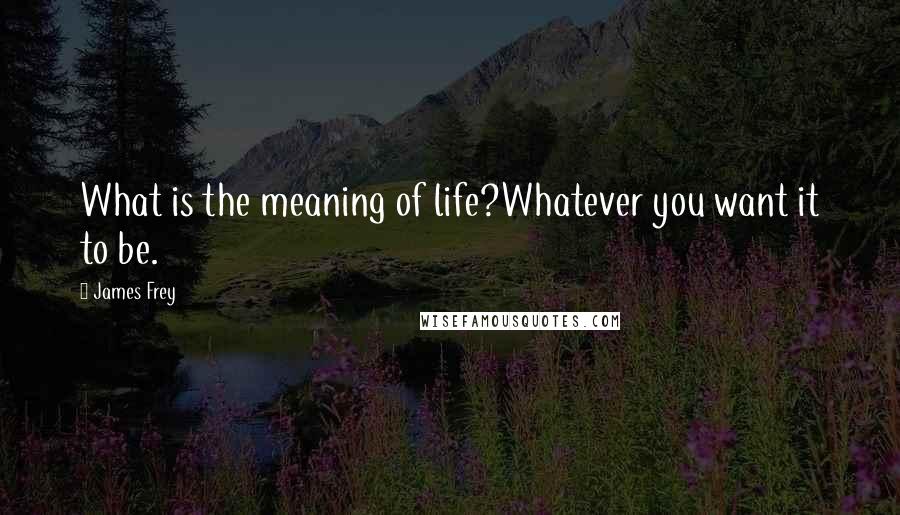 James Frey Quotes: What is the meaning of life?Whatever you want it to be.