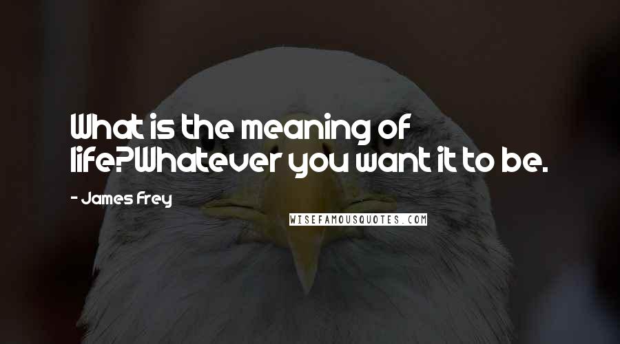 James Frey Quotes: What is the meaning of life?Whatever you want it to be.
